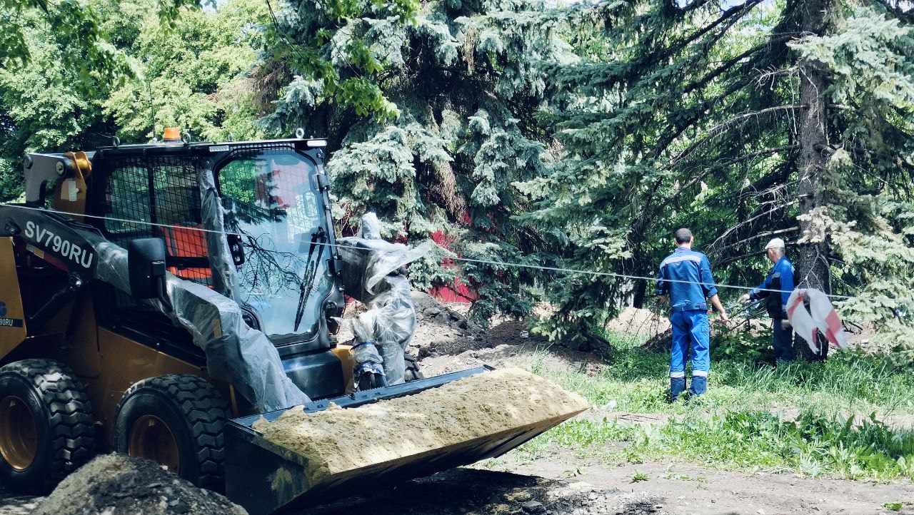 Реализация проекта «Каштановая аллея» в городе Ровеньки продолжается.
