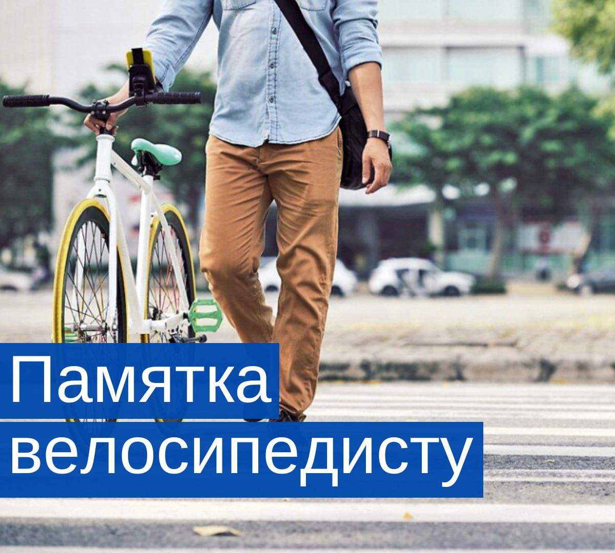 Школьники и велосипеды: что говорит закон в России?.