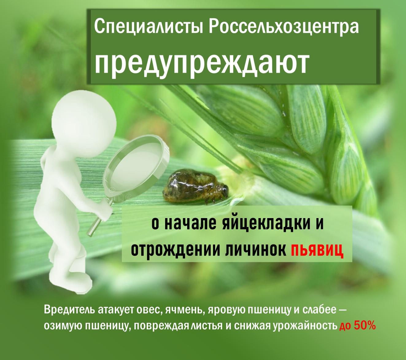 Внимание аграриям.