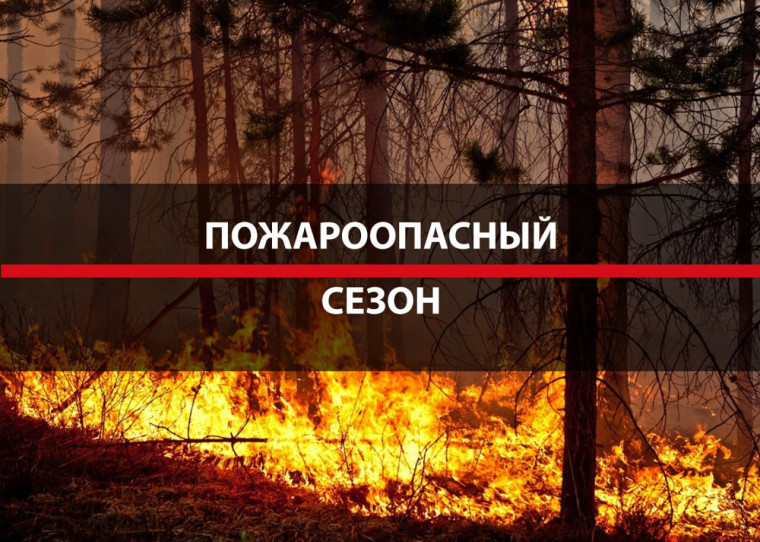 На территории Луганской Народной Республики начался пожароопасный сезон. На территории Луганской Народной Республики начался пожароопасный сезон.