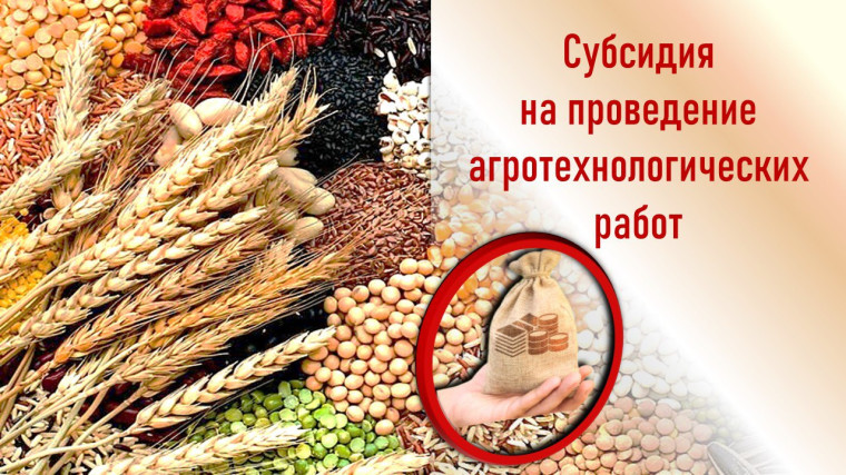 Министерство сельского хозяйства и продовольствия ЛНР. Министерство сельского хозяйства и продовольствия ЛНР.